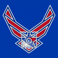 Airforce New York Rangers Logo