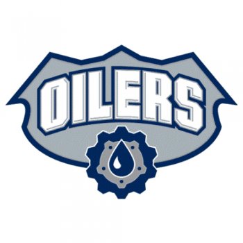 Edmonton Oilers Alternate Logo  Decals Stickers version 2