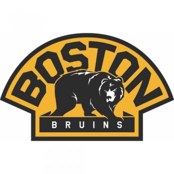 Boston Bruins Alternate Logo  Iron-on Stickers (Heat Transfers) version 2