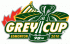 grey cup 2010 primary logo iron on transfers