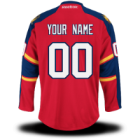 Florida Panthers Custom Letter and Number Kits for Home Jersey