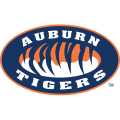 Auburn Tigers 1998-Pres Alternate Logo Iron-on Stickers (Heat Transfers)