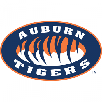 Auburn Tigers 1998-Pres Alternate Logo Iron-on Stickers (Heat Transfers)