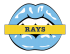 tampa bay rays script logo iron on transfers