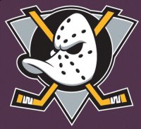 Anaheim Ducks Alternate Logo  Iron-on Stickers (Heat Transfers)