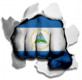 hulk Nicaragua Flag iron on transfer