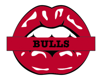 chicago bulls script logo iron on transfers