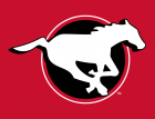 calgary stampeders logo iron on transfers