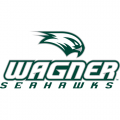 2008-Pres Wagner Seahawks Primary Logo Iron-on Stickers (Heat Transfers)