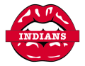 cleveland indians script logo iron on transfers