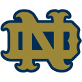 1994-Pres Notre Dame Fighting Irish Alternate Logo Decals Stickers