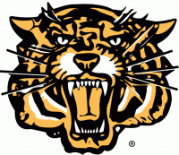 hamilton tiger-cats 1999-2004 secondary logo iron on transfers