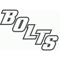 Tampa Bay Lightning Script Logo  Iron-on Stickers (Heat Transfers)