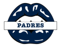 san diego padres script logo iron on transfers