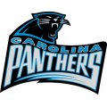 Carolina Panthers Alternate Logo  Iron-on Stickers (Heat Transfers) version 4