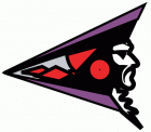 shreveport pirates logo iron on transfers