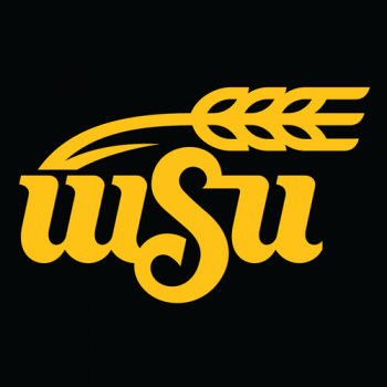 2010-Pres Wichita State Shockers Alternate Logo Decals Stickers