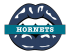 charlotte hornets script logo iron on transfers