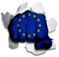 hulk EUROPEAN UNION Flag iron on transfer