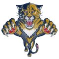 florida panthers 2000-pres primary logo plastic effect logo decal sticker