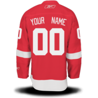 Detroit Red Wings Custom Letter and Number Kits for Home Jersey