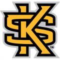 Kennesaw State Owls 2012-Pres Secondary Logo Iron-on Stickers (Heat Transfers)