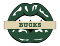 milwaukee bucks script logo iron on transfers