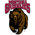 1996-Pres Montana Grizzlies Primary Logo Decals Stickers