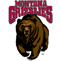 1996-Pres Montana Grizzlies Primary Logo Iron-on Stickers (Heat Transfers)