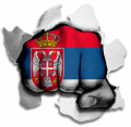 hulk SERBIA Flag iron on transfer