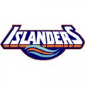 New York Islanders Script Logo  Iron-on Stickers (Heat Transfers)