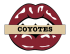 arizona coyotes script logo iron on transfers