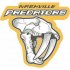 Nashville Predators Alternate Logo  Iron-on Stickers (Heat Transfers) version 2