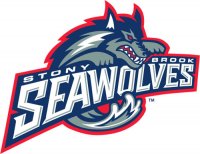 2003-2007 Stony Brook Seawolves Primary Logo Decals Stickers