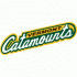 1991-Pres Vermont Catamounts Alternate Logo Iron-on Stickers (Heat Transfers)