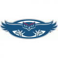 2005-Pres Detroit Titans Alternate Logo