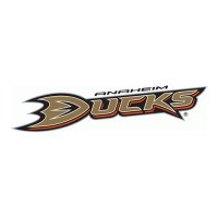 Anaheim Ducks 2013 14-Pres Secondary Logo Iron-on Stickers (Heat Transfers)