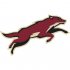 Phoenix Coyotes Alternate Logo  Iron-on Stickers (Heat Transfers) version 1