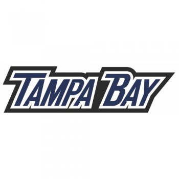 Tampa Bay Lightning Script Logo  Iron-on Stickers (Heat Transfers)