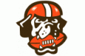 Cleveland Browns 1999 - 2002 DIY iron on stickers (heat transfer)