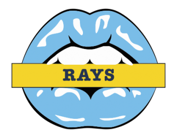 tampa bay rays script logo iron on transfers