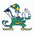 1984-Pres Notre Dame Fighting Irish Alternate Logo Decals Stickers