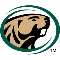 Bemidji State Beavers 2004-Pres Primary Logo Iron-on Stickers (Heat Transfers)