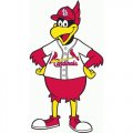 St. Louis Cardinals Alternate Logo  Iron-on Stickers (Heat Transfers)