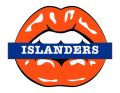 new york islanders script logo iron on transfers