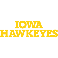 Iowa Hawkeyes 0-Pres Wordmark Logo Iron-on Stickers (Heat Transfers)