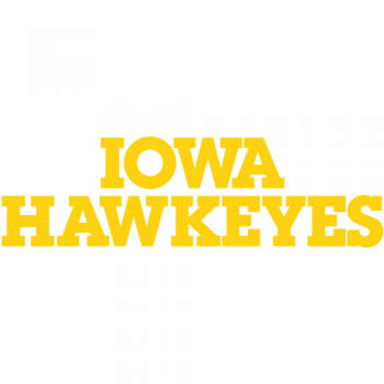 Iowa Hawkeyes 0-Pres Wordmark Logo Iron-on Stickers (Heat Transfers)