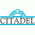 1988-Pres The Citadel Bulldogs Wordmark Logo Iron-on Stickers (Heat Transfers)