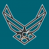 Airforce San Jose Sharks Logo