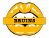 boston bruins script logo iron on transfers